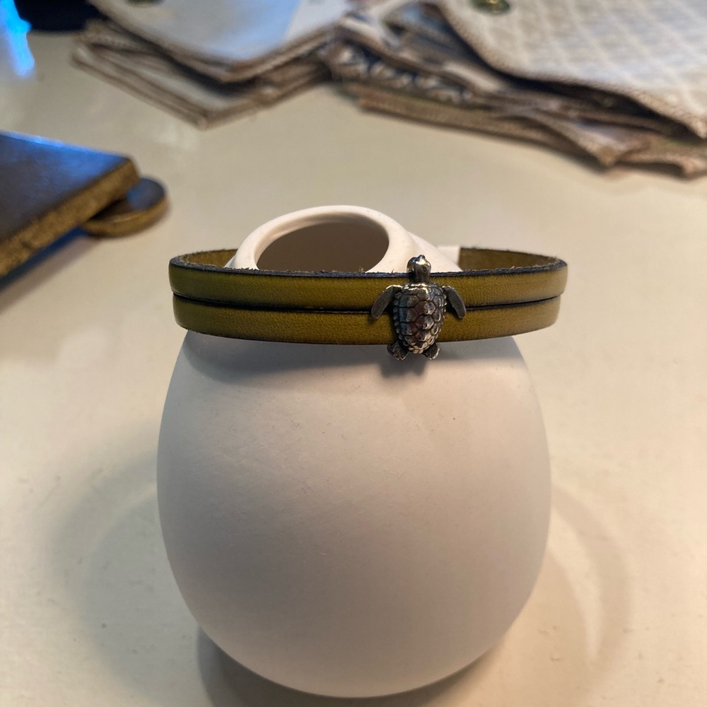 Turtle Charm Bracelet in Olive Green